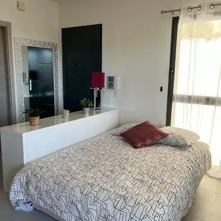 Tres Joli 2 Pieces Calme Ensoleille Avec Piscine Nice